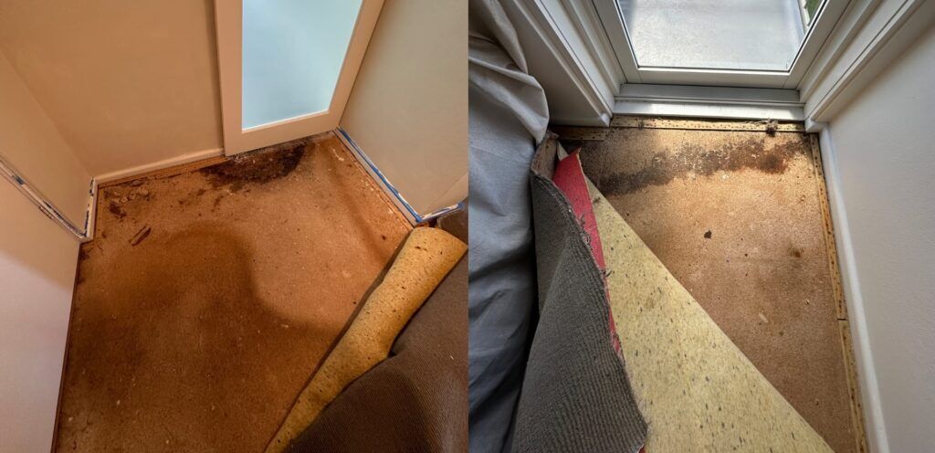 What Does Magnesite Flooring Look Like - Flooring And Grinding