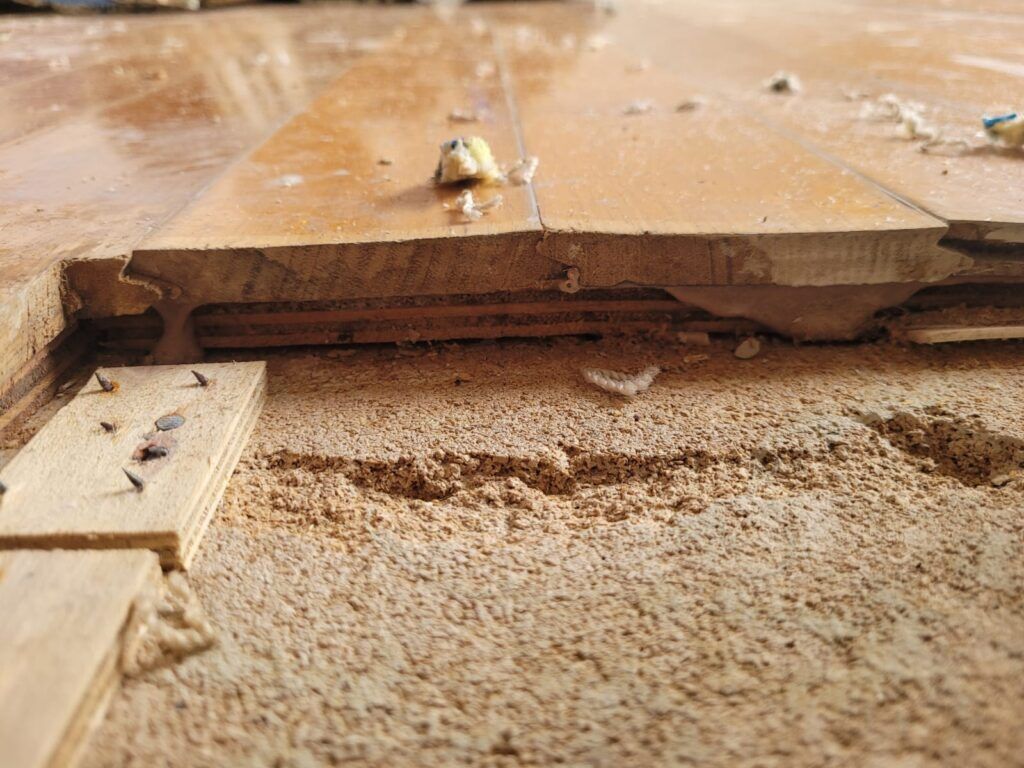 Magnesite Floor Removal - Flooring And Grinding